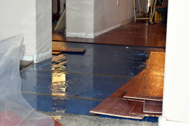 Professional Water Damage Restoration technician working in Kempner, TX